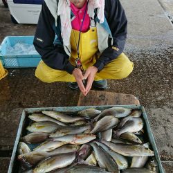 明神釣船 釣果
