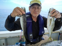 おおせき丸 釣果