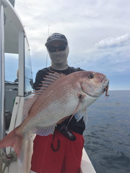 マタウマリンサービス 釣果