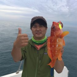 マタウマリンサービス 釣果