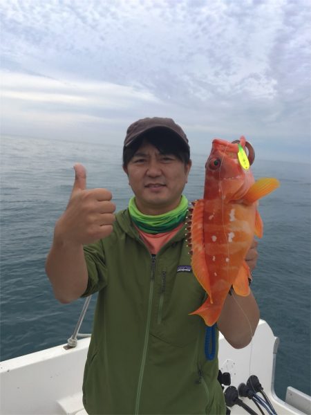 マタウマリンサービス 釣果