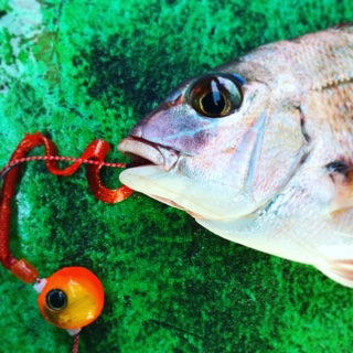利弥丸(としやまる) 釣果