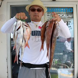 松本釣船2 釣果