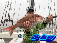 オーシャンマスター 釣果