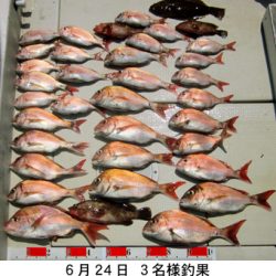 来温丸(らいおんまる) 釣果