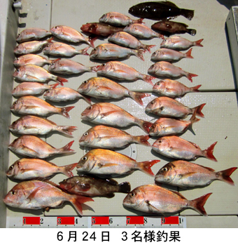 来温丸（らいおんまる） 釣果