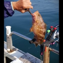 内浜丸 釣果