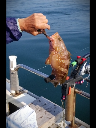 内浜丸 釣果