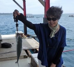 本部釣りイカダ 釣果