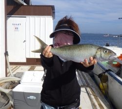 本部釣りイカダ 釣果