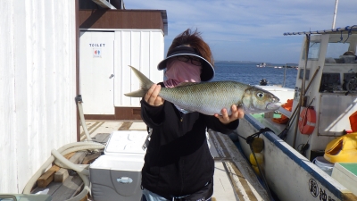 本部釣りイカダ 釣果