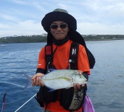 本部釣りイカダ 釣果
