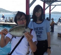 本部釣りイカダ 釣果