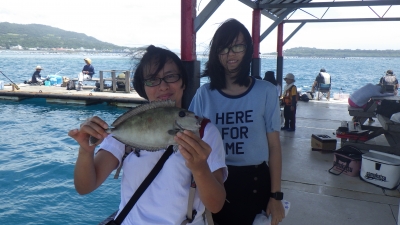 本部釣りイカダ 釣果