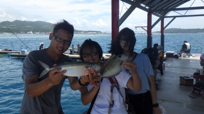 本部釣りイカダ 釣果