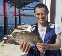 本部釣りイカダ 釣果