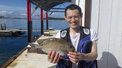 本部釣りイカダ 釣果