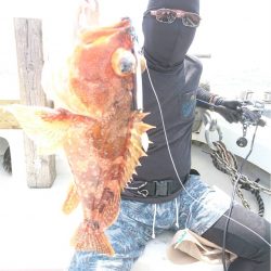 マタウマリンサービス 釣果