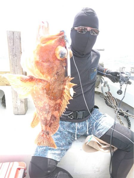 マタウマリンサービス 釣果