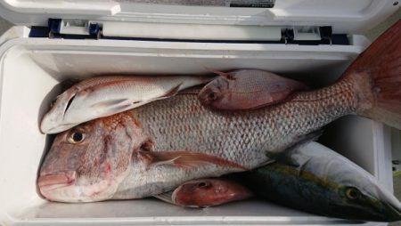 オーフリー 釣果