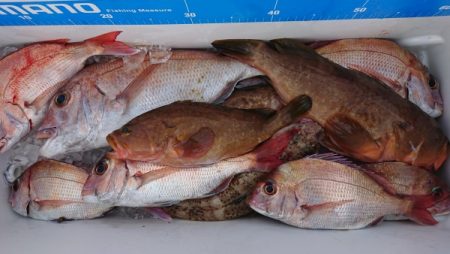 オーフリー 釣果