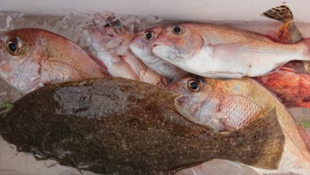 オーフリー 釣果