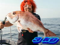 オーシャンマスター 釣果