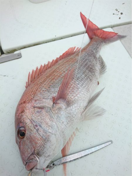 マタウマリンサービス 釣果