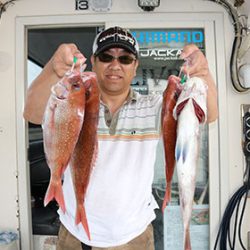 松本釣船２ 釣果