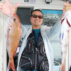 松本釣船２ 釣果