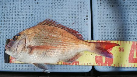 第二常豊丸 釣果