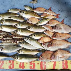 第二常豊丸 釣果