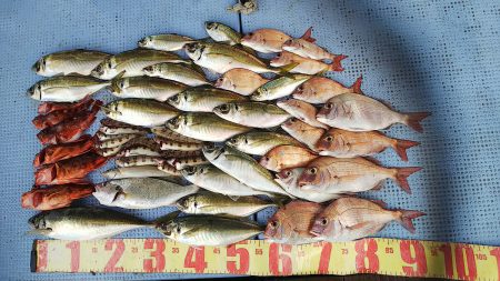 第二常豊丸 釣果