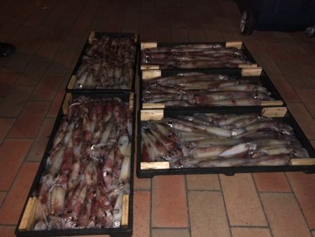 幸風（さちかぜ） 釣果