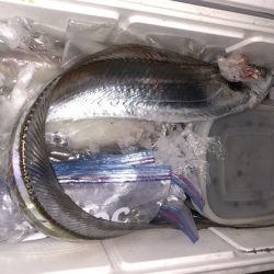 幸風（さちかぜ） 釣果