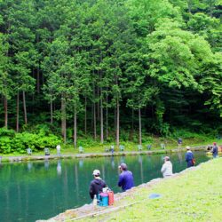 小菅トラウトガーデン 釣果