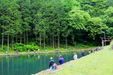 小菅トラウトガーデン 釣果