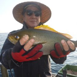 真祐丸 （しんゆうまる） 釣果