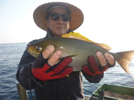 真祐丸 （しんゆうまる） 釣果