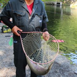 小菅トラウトガーデン 釣果