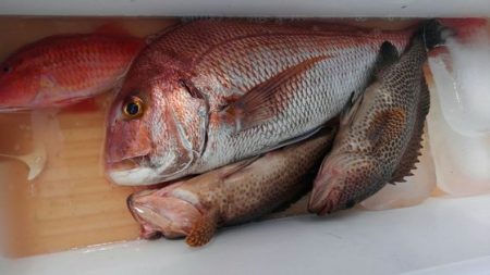 遊漁船 新鋭丸 釣果