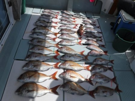 遊漁船 幸友丸 釣果