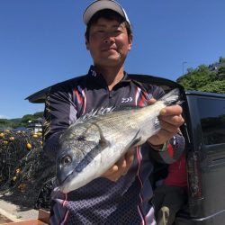 由良渡船 釣果