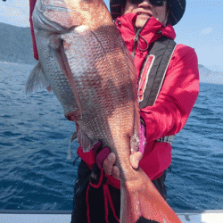 遊漁船ブルーウッズ 釣果