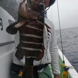 遊漁船 新鋭丸 釣果