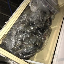 寿裕 （YOSHIHIRO） 釣果