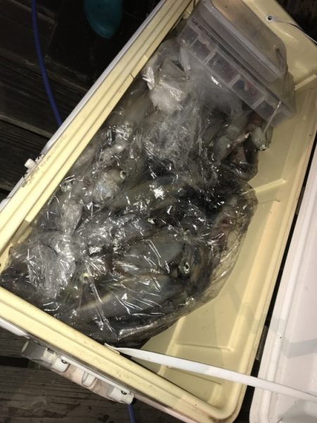 寿裕 （YOSHIHIRO） 釣果