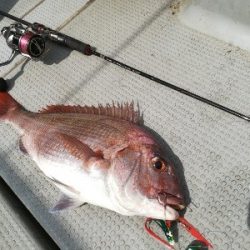 IDATEN(イダテン) 釣果