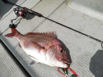 IDATEN(イダテン) 釣果