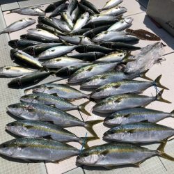 ふじしめ丸 釣果